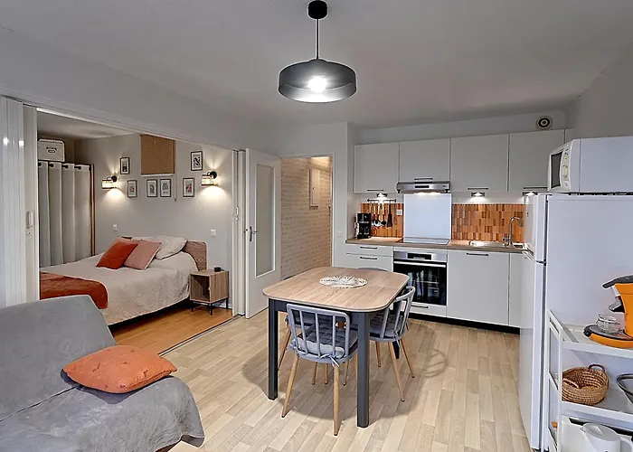 Apartment Entre Et Montagne - Appt Pour 4 - Garage Prive *